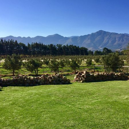 Olive Cottage Franschhoek Luaran gambar