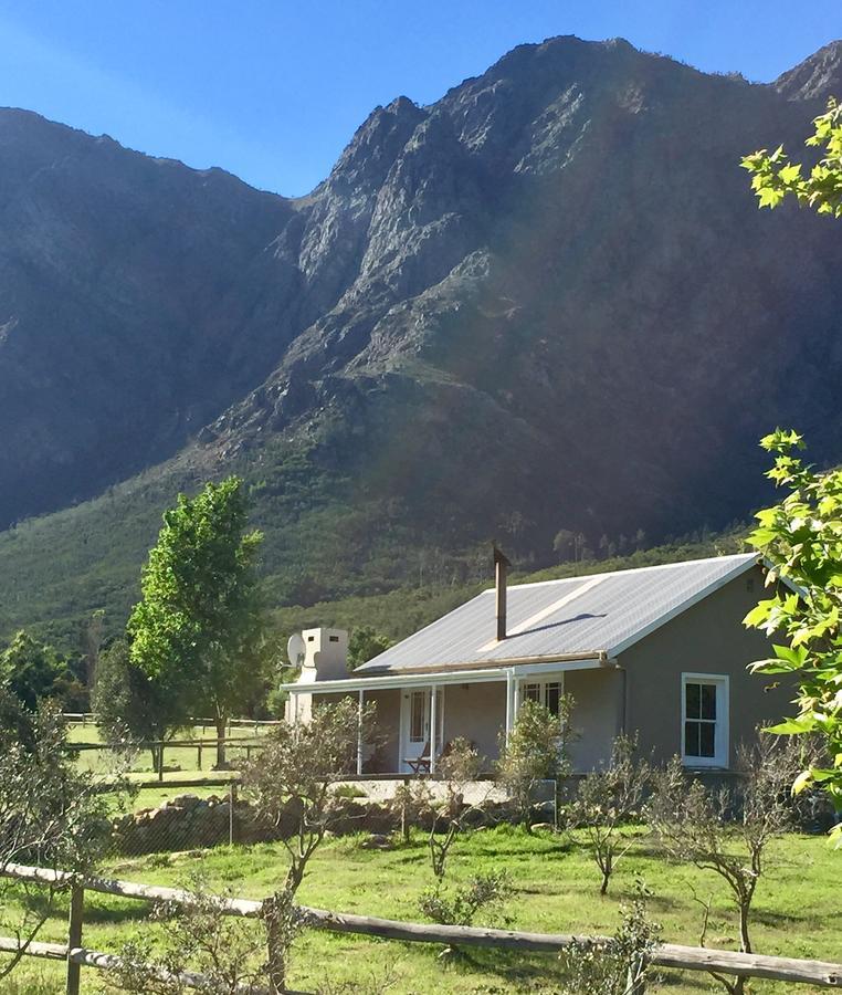 Olive Cottage Franschhoek Luaran gambar