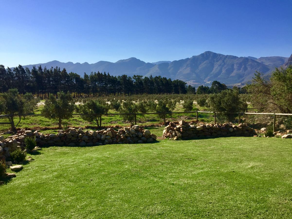 Olive Cottage Franschhoek Luaran gambar